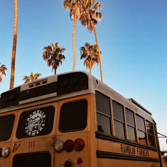 Meet your Posher, Logan - Picture 3 of 4